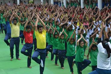 INTERNATIONAL YOGA DAY 2016-17